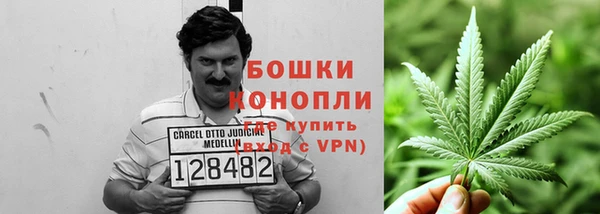 альфа пвп Каменногорск