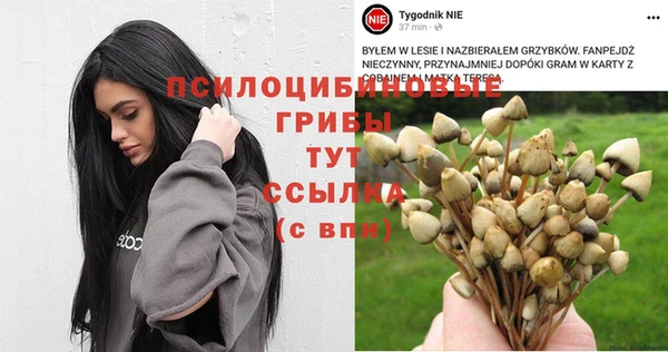 альфа пвп Каменногорск